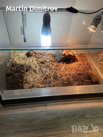 Терариум, оборудван, снимка 6 - Терариуми и оборудване - 52787338