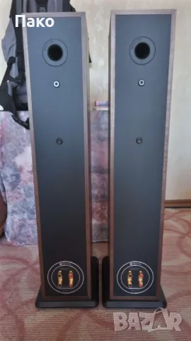 Тонколони Monitor Audio Bronze 5, снимка 8 - Тонколони - 50062016