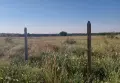 Земеделска земя 10 дка, снимка 5