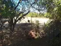 Къща в село Прекръсте, снимка 5