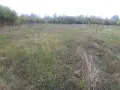 Голям парцел в 7855 Бракница, снимка 2