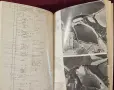 The Dambusters Raid, снимка 11