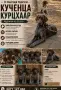 Кученца за продажба ., снимка 1
