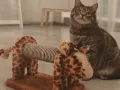 Драскалка за котка във формата на жираф, снимка 3
