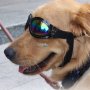 Кучешки очила за средни/едри породи Очила за големи породи кучета Очила за голяма порода куче
