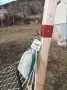 масивна стойка с два хамака и мрежа против насекоми, снимка 6