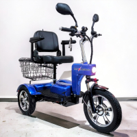 Електрическа триколка A6 LUX+ 1000W BLUE, снимка 1 - Мотоциклети и мототехника - 44751809