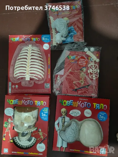 Човешко тяло - колекция, снимка 1
