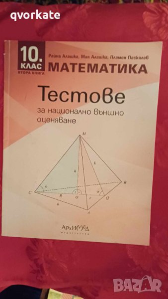 Тестове за национално външно оценяване по Математика за 10 клас-Райна Алашка, снимка 1