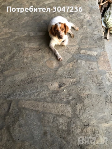 Продавам, снимка 1