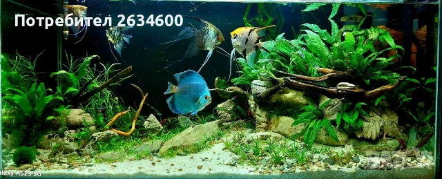 аквариуми и терариуми 
