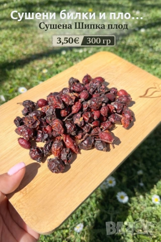 Сушена Шипка - плод 
