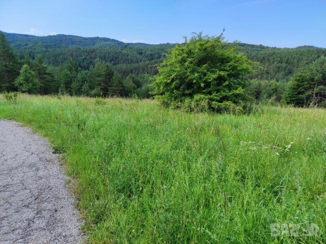 Продава поземлен имот в с.Плана, район Панчарево, снимка 2 - Парцели - 39279777