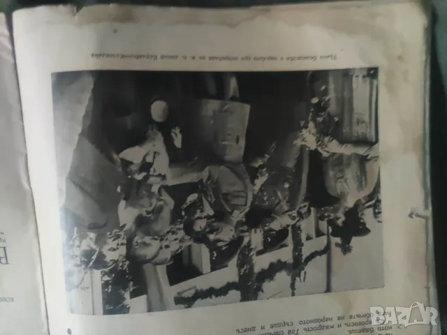 списание "Родолюбие " год.7 1939-40, снимка 14 - Списания и комикси - 48782813