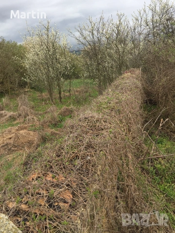 Парцел в с. Беджене, Нови пазар, снимка 3 - Парцели - 53344375