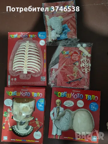 Човешко тяло - колекция