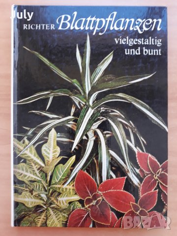 Blattpflanzen- vielgestaltig und bunt, Walter Richter,1979, снимка 1 - Специализирана литература - 29867844