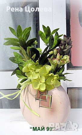 Шефлера в керамична кашпа, снимка 2 - Изкуствени цветя - 42221877