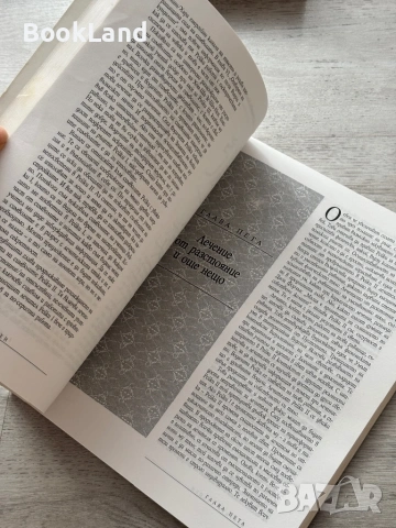 Рейки – Даян Стейн, Кибеа , снимка 14 - Други - 53295806