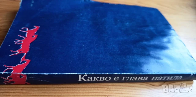 Какво е глава патила - Юозас Балтушис, снимка 5 - Художествена литература - 51279541