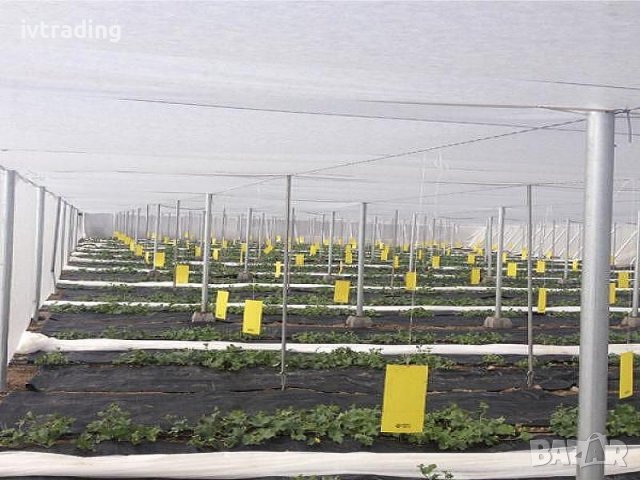 Агрил 17g/m², 19g/m² и 21g/m² с размери 4,80 х 100м., снимка 2 - Други - 39401159