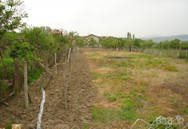 Продавам УПИ-с. Мурсалево-обл.Кюстендил., снимка 3 - Парцели - 30021733