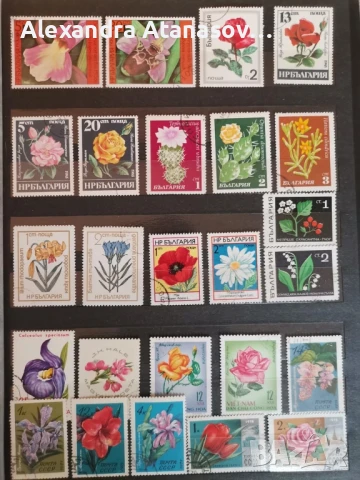 Класьори с пощенски марки, снимка 18 - Филателия - 51156532