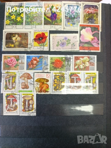 Пощенски марки, снимка 2 - Филателия - 54134080