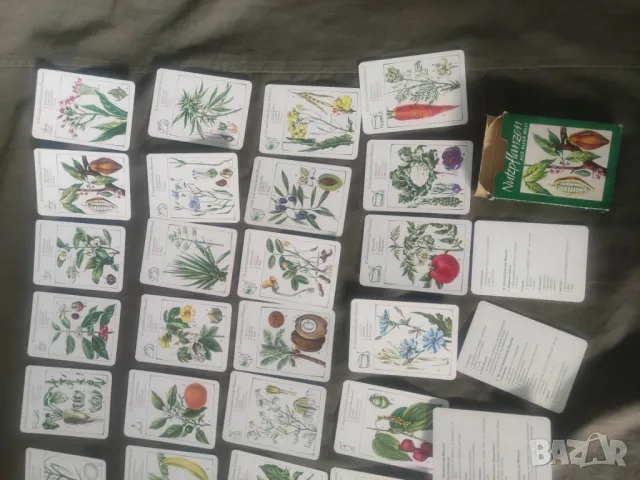 Продавам Тесте карти Растения ГДР, снимка 7 - Карти за игра - 47393625