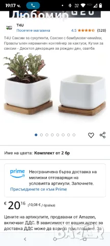 T4U Саксии за сукуленти, Саксии с бамбукови чинийки, Правоъгълен керамичен контейнер за кактуси

, снимка 2 - Декорация за дома - 49743229