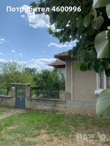Продавам къща в село Дъбравино, Варненско, с просторен двор – 3 декара, снимка 3 - Къщи - 51788048
