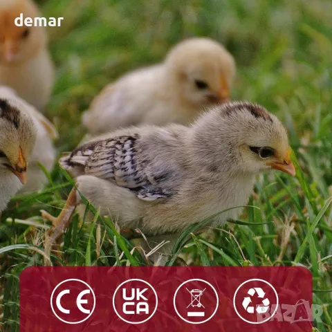 Инфрачервена нагревателна лампа Neviland с 250W нагревателна крушка, превключвател за мощност, снимка 6 - Други стоки за животни - 49885940