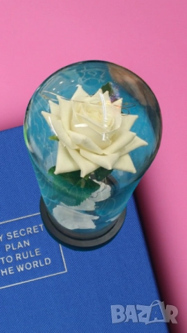 Бяла роза под стъклен купол - Вечна елегантност, снимка 7 - Подаръци за жени - 51852346