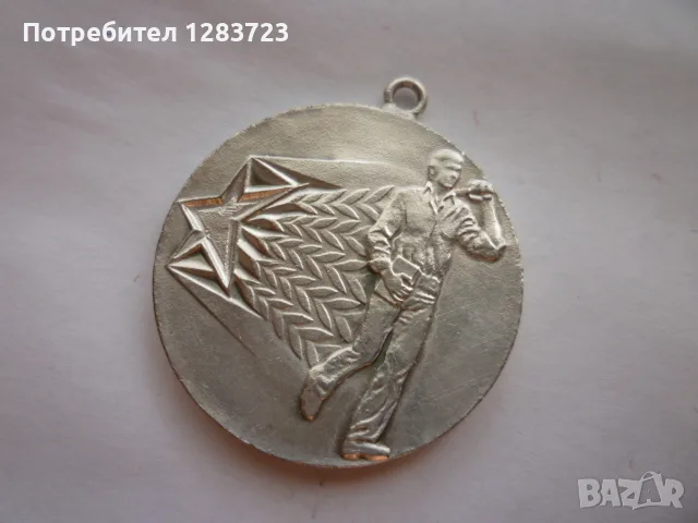 Знак Медал Орден, снимка 2 - Антикварни и старинни предмети - 55986494