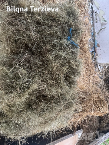 Бали сено и лицерна, снимка 4 - За селскостопански - 53881747