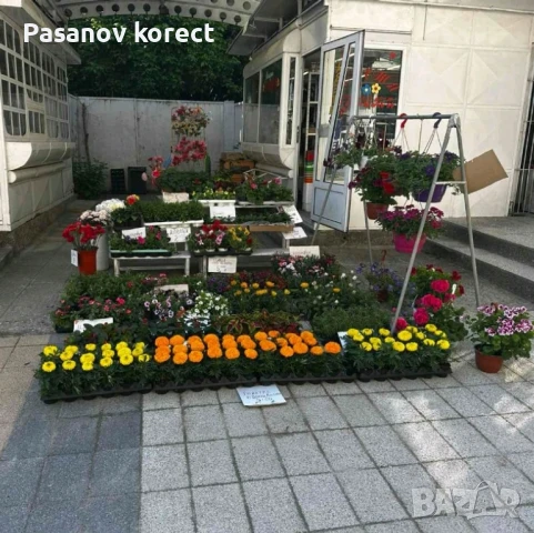 Цветя, букети, аранжировки, венци в град Пещера, снимка 3 - Саксии и кашпи - 51031515