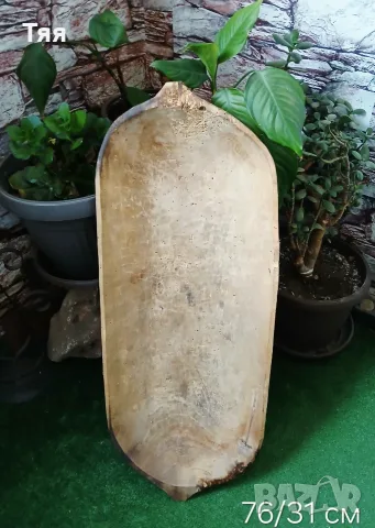 Дървени нощви/нощови