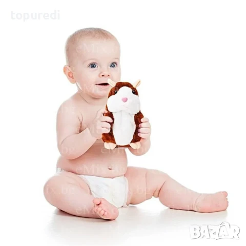 Забавен говорещ хамстер