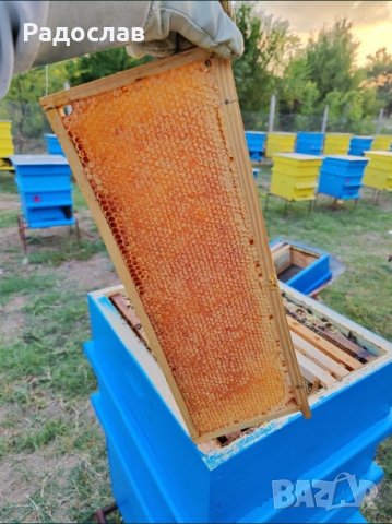 Пчелен Мед  реколта 2023г,ливадни билки, букет , снимка 3 - Пчелни продукти - 32625006