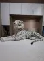 Голям плюшен тигър, снимка 3
