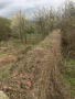 Парцел в с. Беджене, Нови пазар, снимка 3