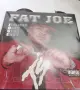 2LP Fat Joe ‎– Jealous Ones Still Envy оригинално Американско издание, снимка 1