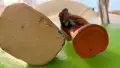 Статуетки / фигурки, снимка 12