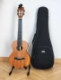 Укулеле Enya X1 Tenor + аксесоари, снимка 2