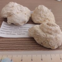Фосили от България, снимка 2 - Други ценни предмети - 39153101