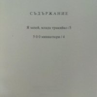 Нови 500 миниатюри - Стоян Авджиев , снимка 4 - Художествена литература - 44339999