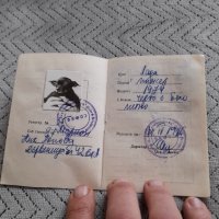 Стар Ветеринарен паспорт за куче, снимка 2 - Други ценни предмети - 44430248