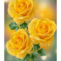 Диамантен гоблен Жълти рози, снимка 1 - Гоблени - 35417103
