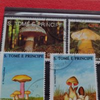 Пощенски марки серия Растения, Гъби стари редки за колекция декорация - 22024, снимка 5 - Филателия - 36641512