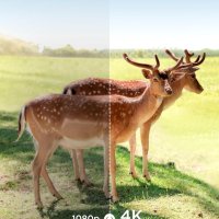 Камера за диви животни CEYOMUR, 4K 36MP HD с 40 IR светодиоди, IP66, снимка 2 - Камери - 42813068